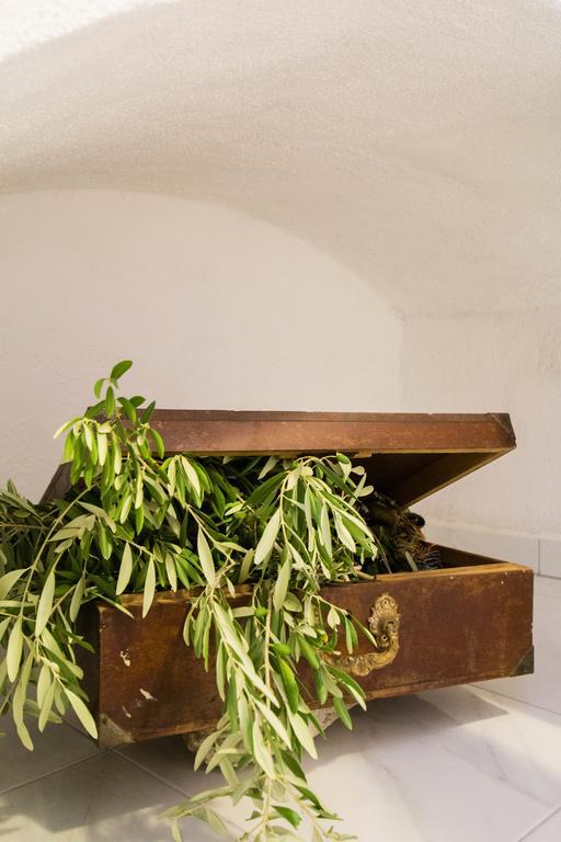 Apartment Toma تروغير المظهر الخارجي الصورة